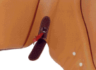 Wellep Saddle Adjustment Key Position.gif (49401 bytes)